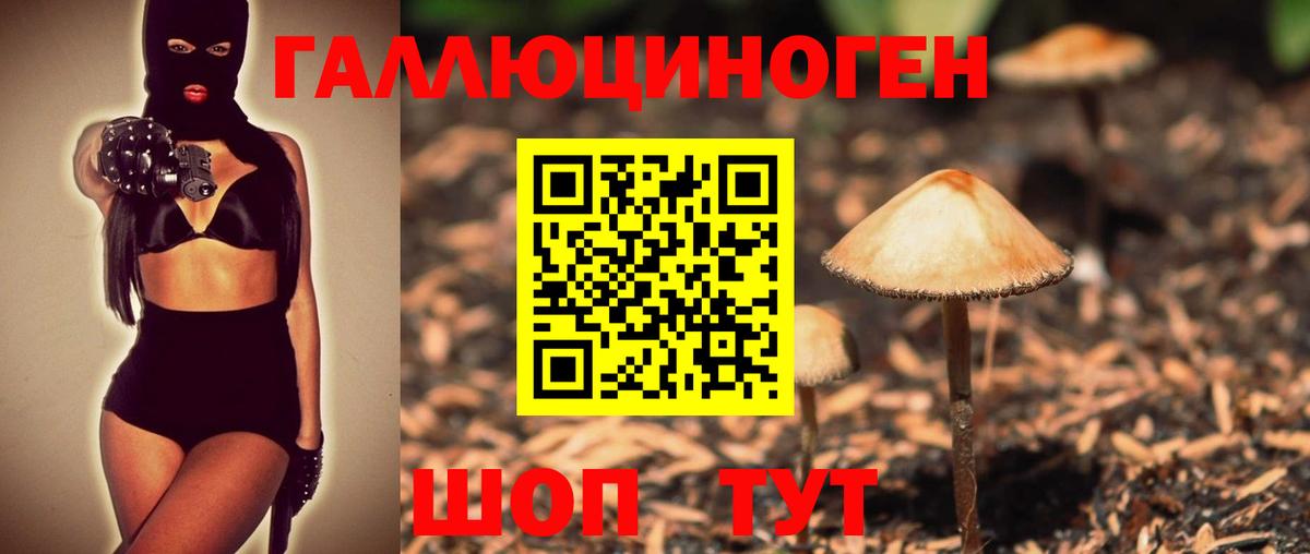 Псилоцибиновые грибы прущие грибы  Псилоцибиновые грибы GOLDEN TEACHER  Нижний Тагил  Вход с VPN 